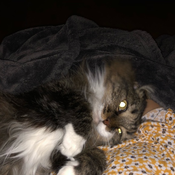 Meet your Posher, Lissa - Picture 2 of 5